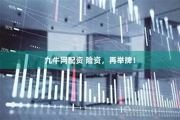 九牛网配资 险资，再举牌！