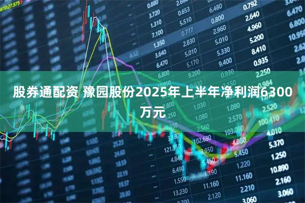 股券通配资 豫园股份2025年上半年净利润6300万元